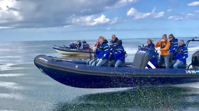 Zeehonden safari Brouwersdam
