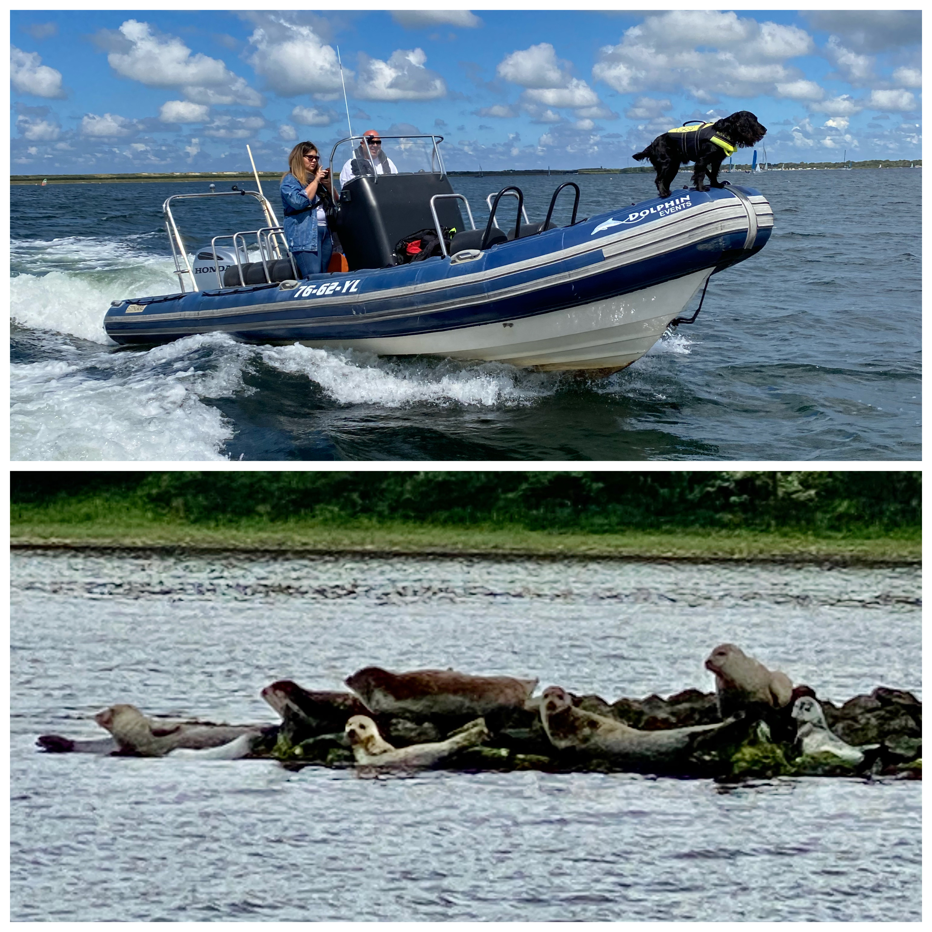 RIB Safari 1